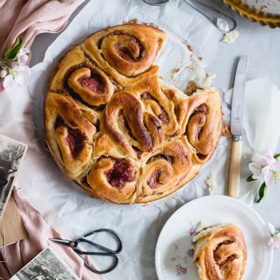 Rhubarb Cinnamon Sweet Rolls - Recipe photo by siankoo