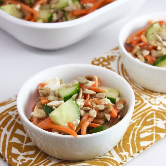 Carrot and Cucumber Balsamic Salad - Recipe photo by 360familynutrition