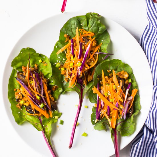 Asian Swiss Chard Wraps - Recipe photo by jessicainthekitchen