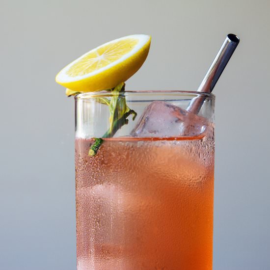 Kentucky Buck Cocktail - Recipe photo by honestlyyum