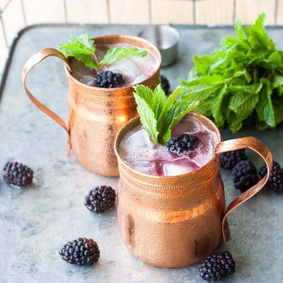 Blackberry Bourbon Lemonade - Recipe photo by thesunnypalate