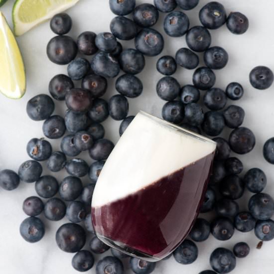Blueberry Guava Panna Cotta - Recipe photo by FoodFanatical