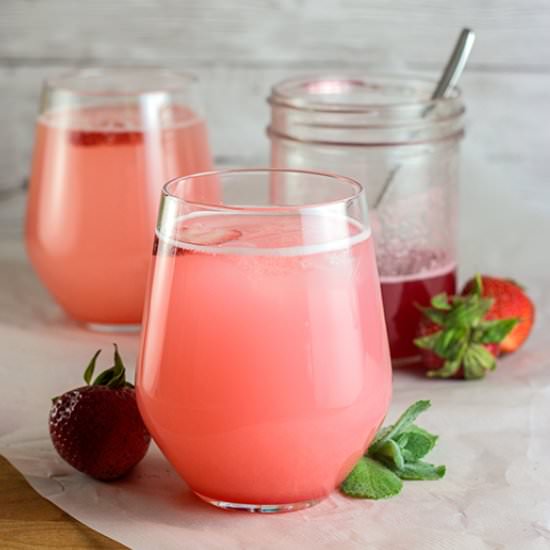 Strawberry Rhubarb Spritzer - Recipe photo by thekitchenmaus