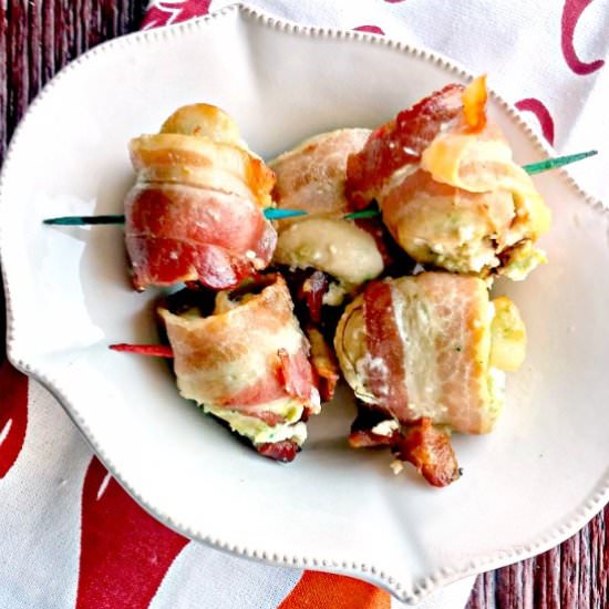 Bacon Wrapped Chicken Appetizers - Recipe photo by thegardeningcook
