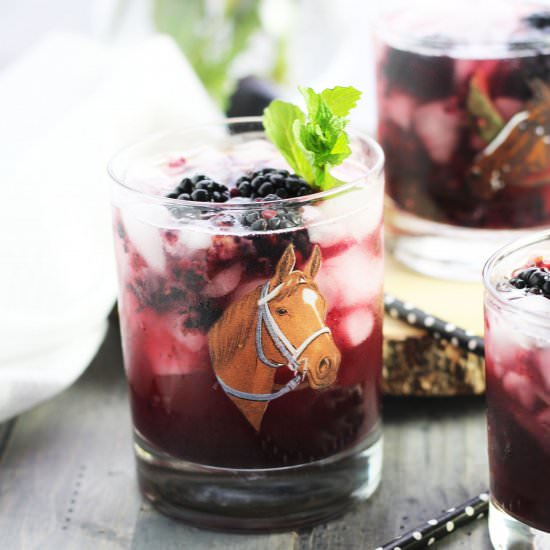 Blackberry Mint Julep - Recipe photo by 3 Yummy Tummies