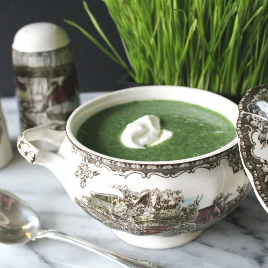 Creamy Nettle Soup - Recipe photo by Nitty Gritty Mama