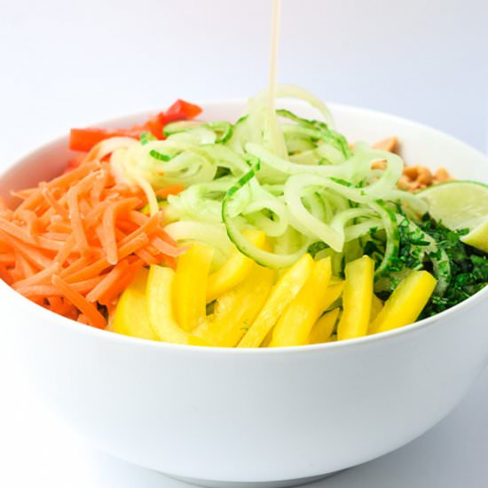 Spiralized Spring Roll Bowls - Recipe photo by tastythin