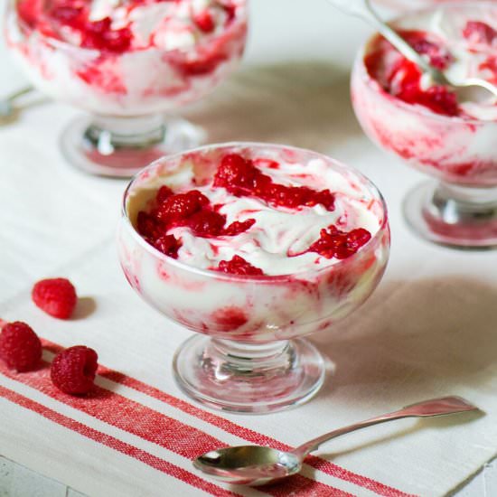 Raspberry Fool - Recipe photo by ManyKitchens.com