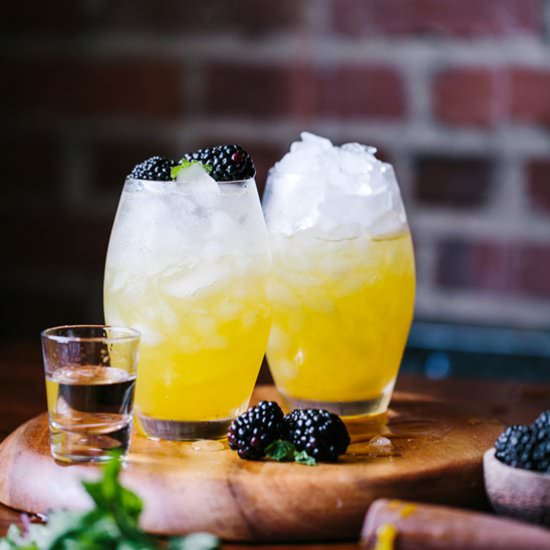 Mango & Blackberry Vodka Cooler - Recipe photo by foolproofliving.com