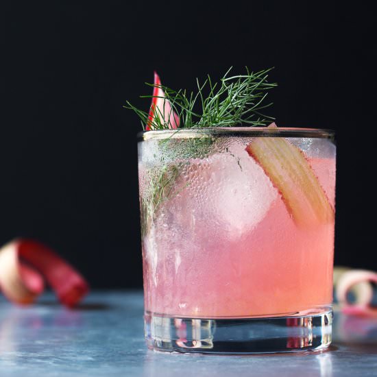 Rhubarb, Fennel & Vermouth Cocktail - Recipe photo by honestlyyum