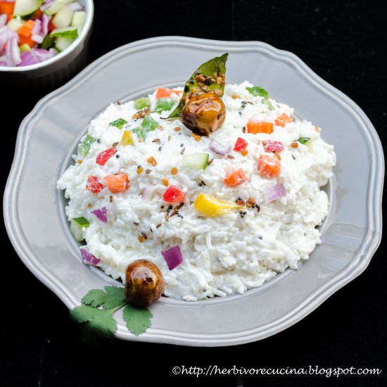 Yogurt Rice | Thayir Sadham - Recipe photo by Herbivore Cucina