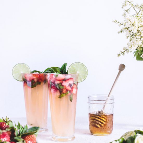 Honey-Sweetened Limeade - Recipe photo by foolproofliving.com