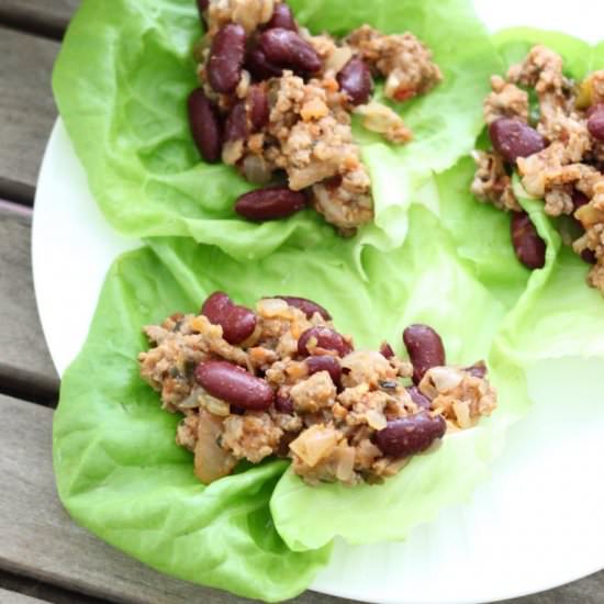 Salsa Turkey Lettuce Wraps - Recipe photo by MyCookingSpot