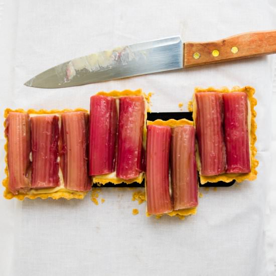 Vanilla Rhubarb Tart - Recipe photo by ohsweetcitrus