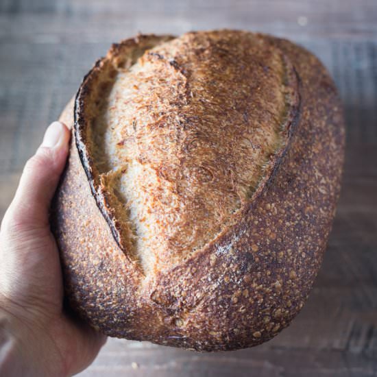Polenta and Rosemary Sourdough - Recipe photo by the perfect loaf