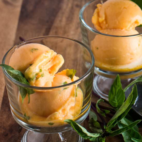 Apricot Sorbet With Thai Basil - Recipe photo by beyondmeresustenance