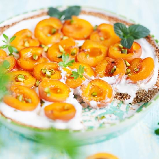 Greek Apricot Quinoa Tart - Recipe photo by sabrinasue