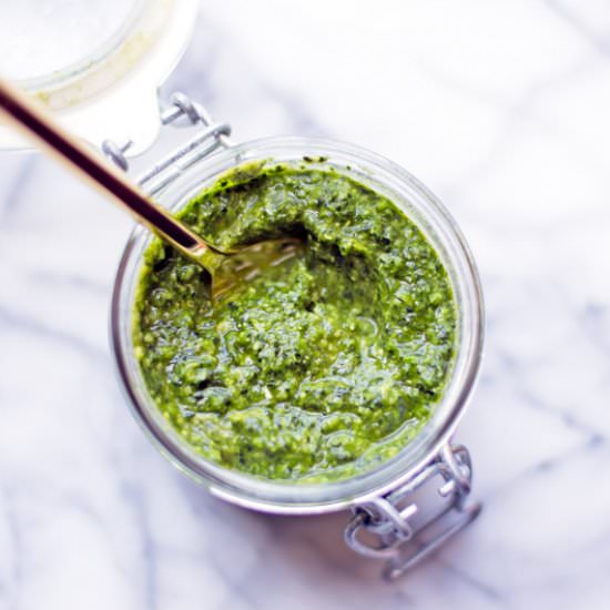 Easy Vegan Kale Pesto - Recipe photo by balancedberry