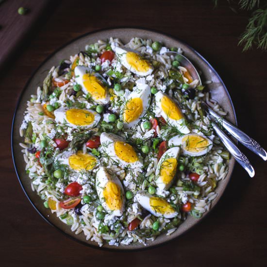 Orzo Salad with Spring Vegetables - Recipe photo by foolproofliving.com