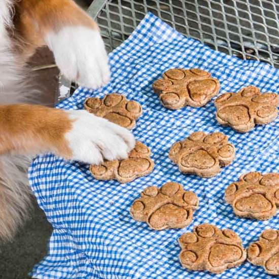 Homemade Dog Treats - Recipe photo by thefinercookie