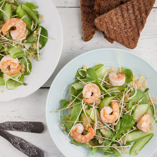 Red Lentil Shrimp Salad - Recipe photo by ohmydish