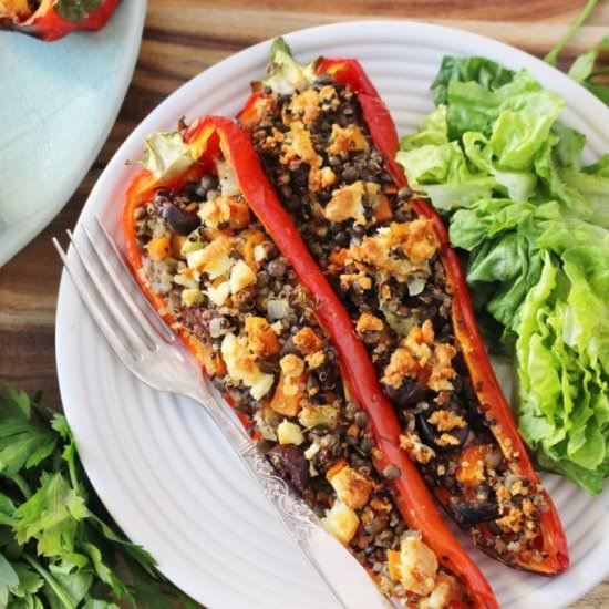 Greek Lentil & Quinoa Peppers - Recipe photo by Thoroughly Nourished Life