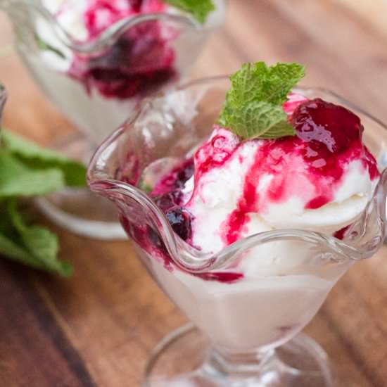 Egg-Free Mint Gelato - Recipe photo by LK529