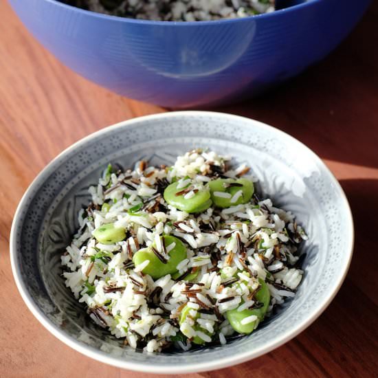 Rice Salad with Fava Beans - Recipe photo by amykelinda