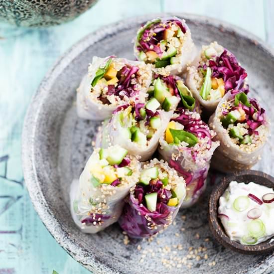 Mango Quinoa Summer Rolls - Recipe photo by sabrinasue