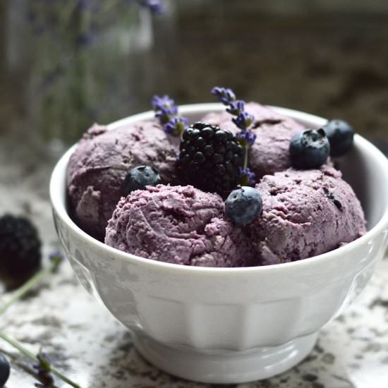 Double Berry Coconut Ice Cream - Recipe photo by Pure and Simple Nourishment
