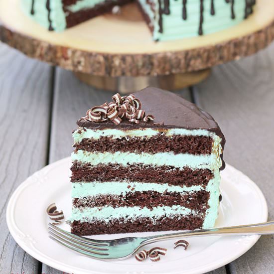 Mint Chocolate Cake - Recipe photo by valyastasteofhome.com