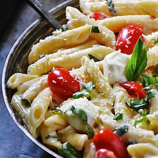 Margherita Penne Pasta - Recipe photo by LifeTastesGood