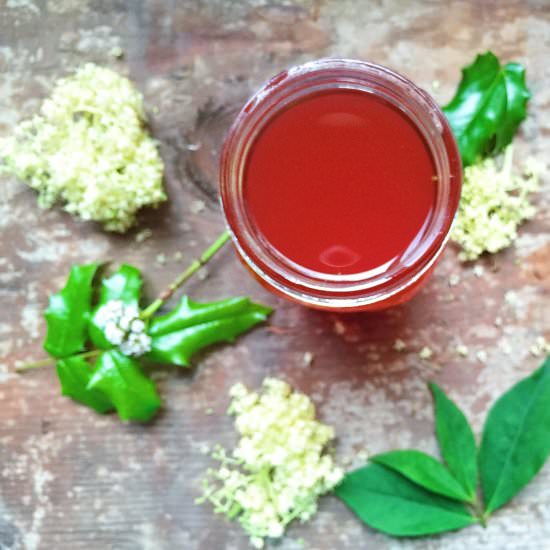 Homemade Elderflower Cordial - Recipe photo by ParsnipsandPastries