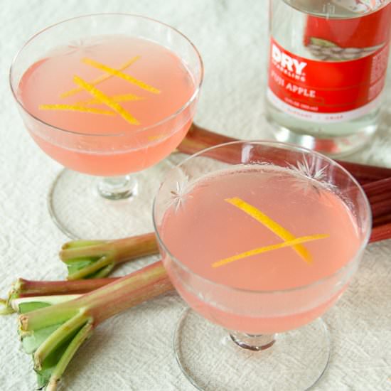 Rhubarb Apple Vodka Collins - Recipe photo by dailywaffle