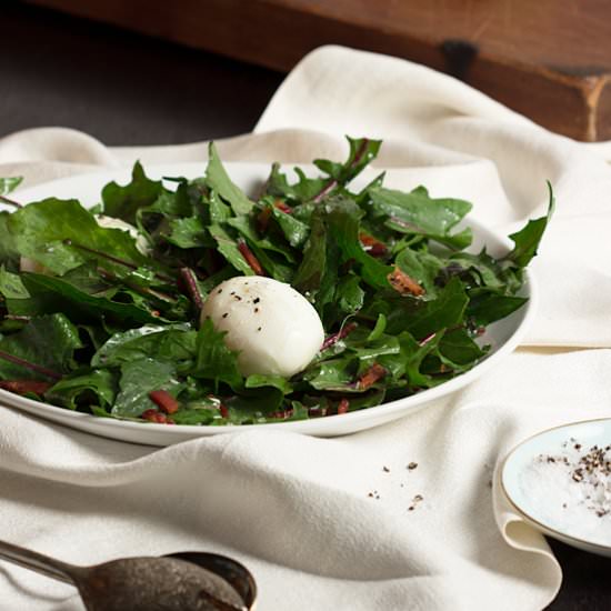 Wilted Dandelion Greens Salad - Recipe photo by cupofzest