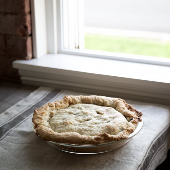 Classic Blueberry Pie - Recipe photo by sarahkateco