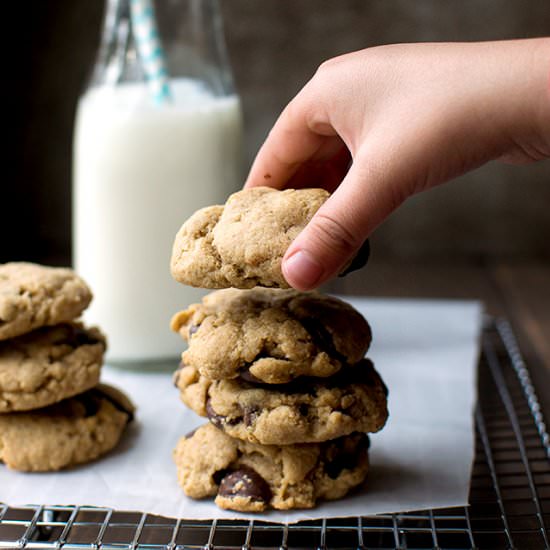 Wholewheat Chocolate Chip Cookies - Recipe photo by Pavani