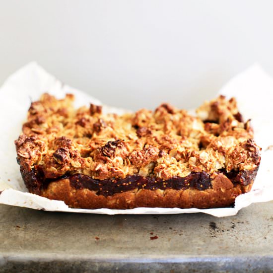 Gluten Free Vegan Fig & Date Square - Recipe photo by yummybeet