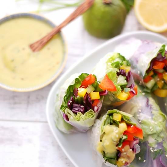 Vegetable Spring Rolls - Recipe photo by AnnaBanana