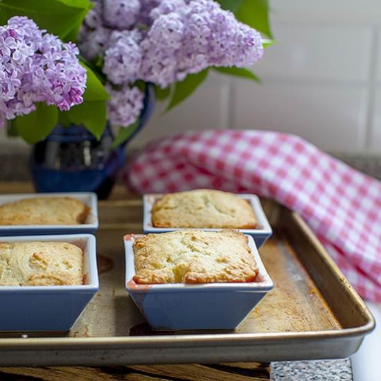 Cottage Pudding - Recipe photo by bitebymichelle