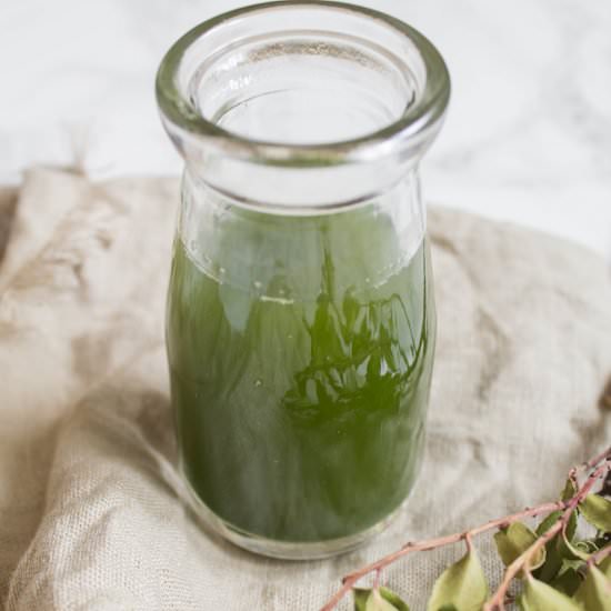 Two Ingredient Pandan Extract - Recipe photo by cookingwithawallflower