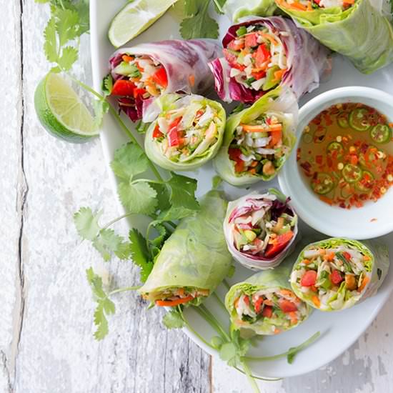 Chinese Salad Spring Rolls - Recipe photo by BakersRoyale