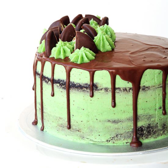 Mint Chocolate Layer Cake - Recipe photo by Sweetest Menu
