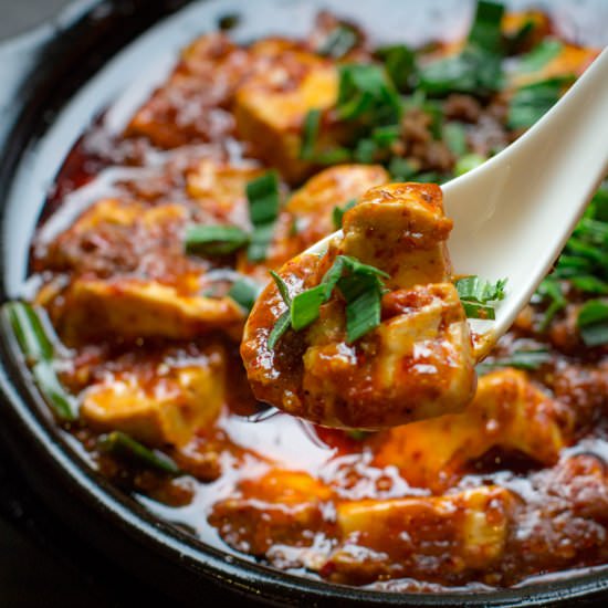 The Original Mapo Tofu - Recipe photo by TaoTieh