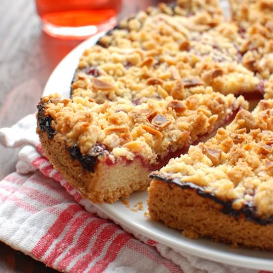 Cherry Cookie Crumb Cake - Recipe photo by thetoughcookie