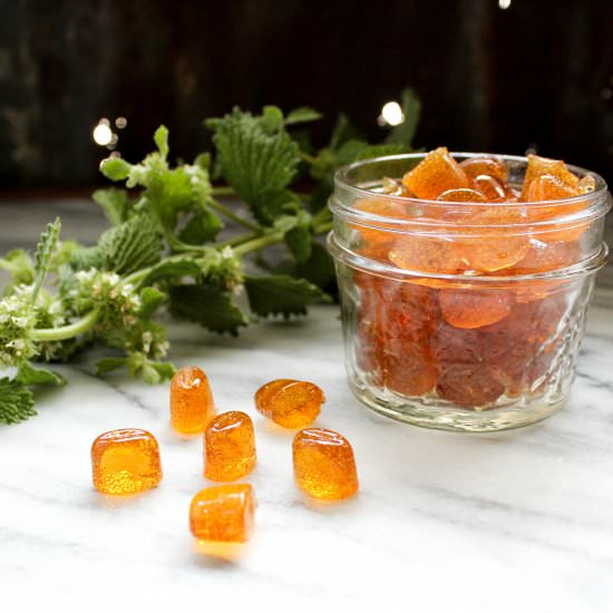 Bittersweet Horehound Candy - Recipe photo by Nitty Gritty Mama