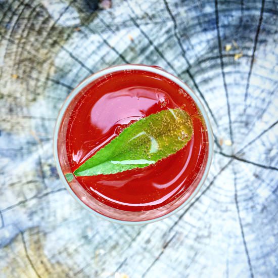 Rhubarb Vodka Cocktail - Recipe photo by onetomato-twotomato