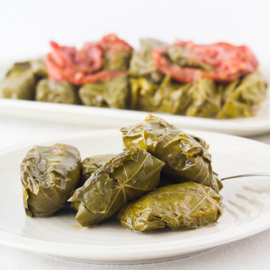 Stuffed Vine Leaves with Eggplants - Recipe photo by thehealthycook