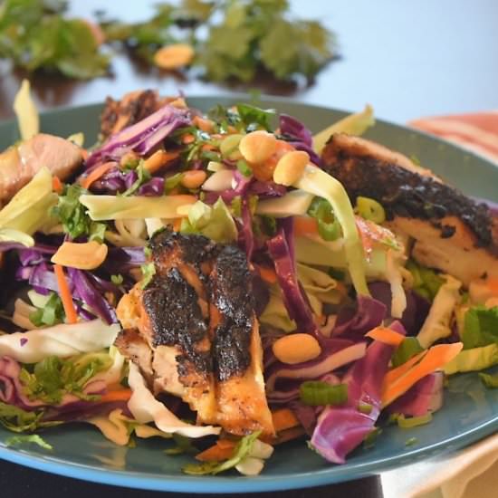 Peanut Butter Chicken &Thai Slaw - Recipe photo by DeliciousbyDesign