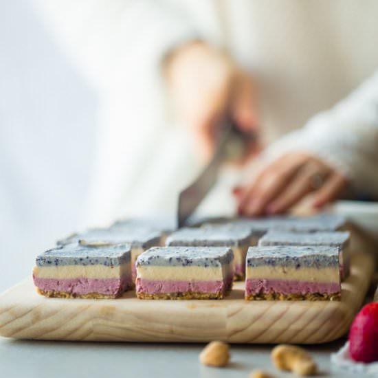 Vegan & Paleo Berry Cashew Bars - Recipe photo by foodfaithfitness
